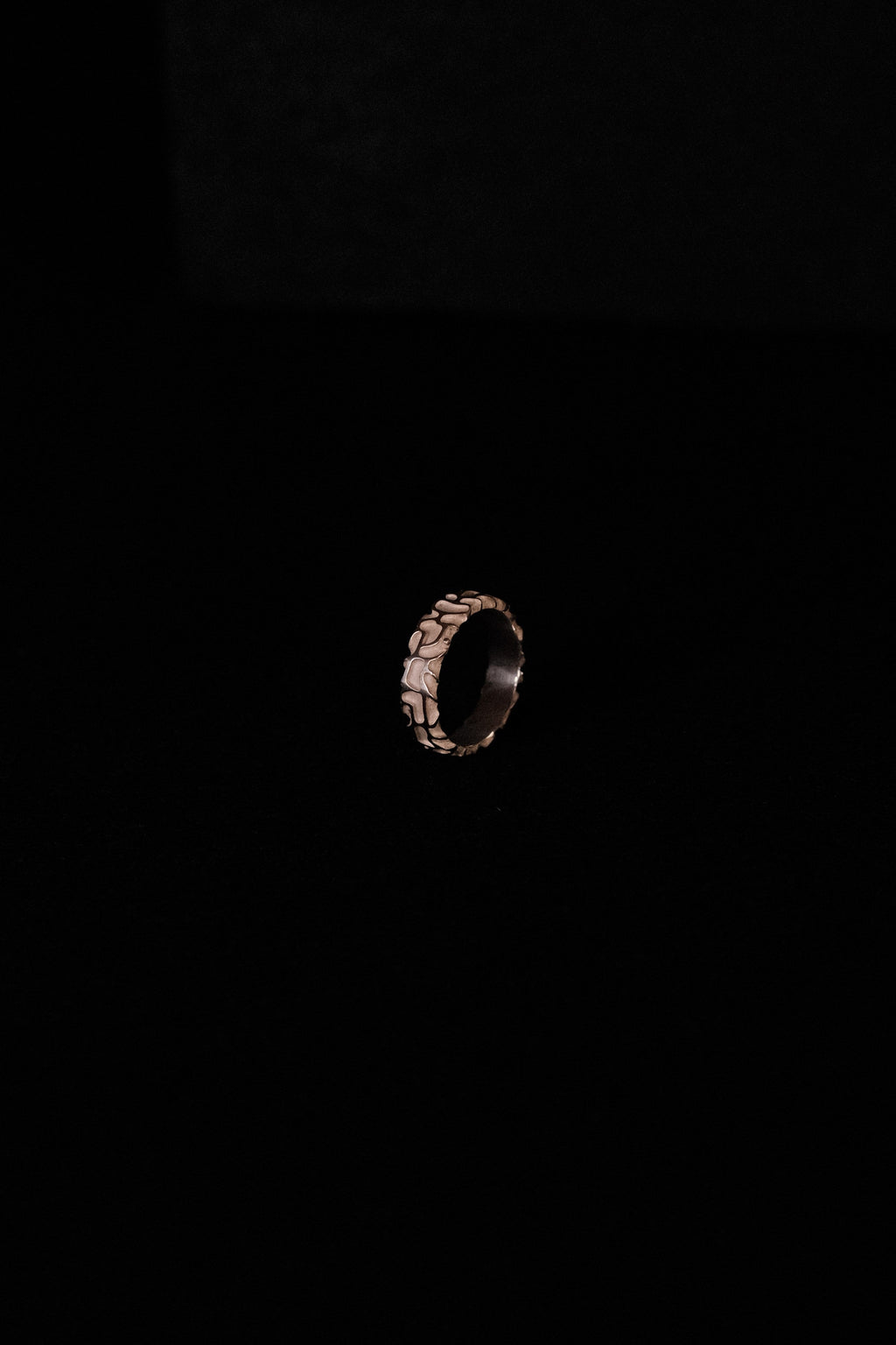 PAN TERRA - modèle fin