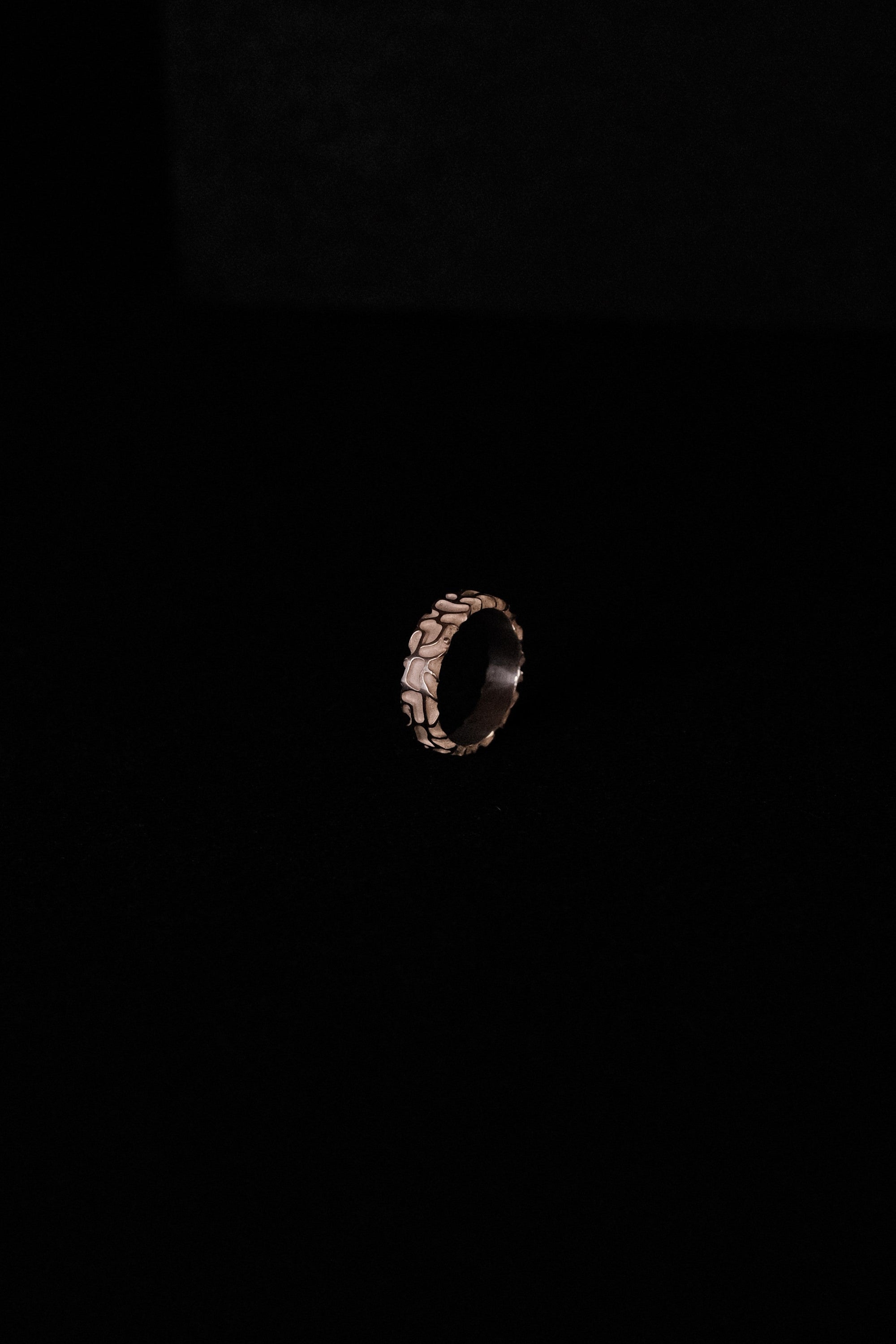 PAN TERRA - modèle fin